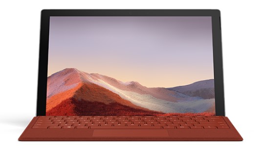 凤山清洁和维护 Surface